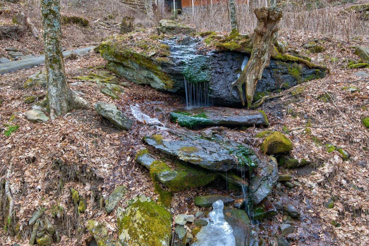 Rested Traveler Blowing Rock Eksteriør billede